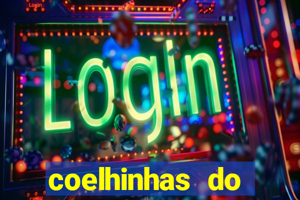 coelhinhas do brasil recife